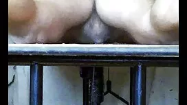 Seks di cerita sex d ...