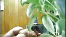 Matang video cerita  ...