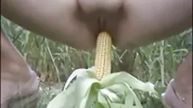 Menjilat Vagina ceri ...