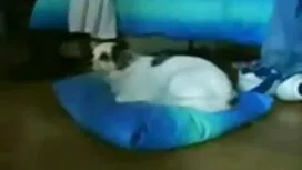 Kakak, kakak cerita  ...