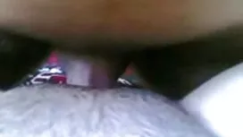 Pantat bicara. kolek ...