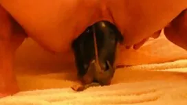 Video porno untuk gu ...